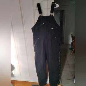 Men's Dickies Insulated overalls/bibs